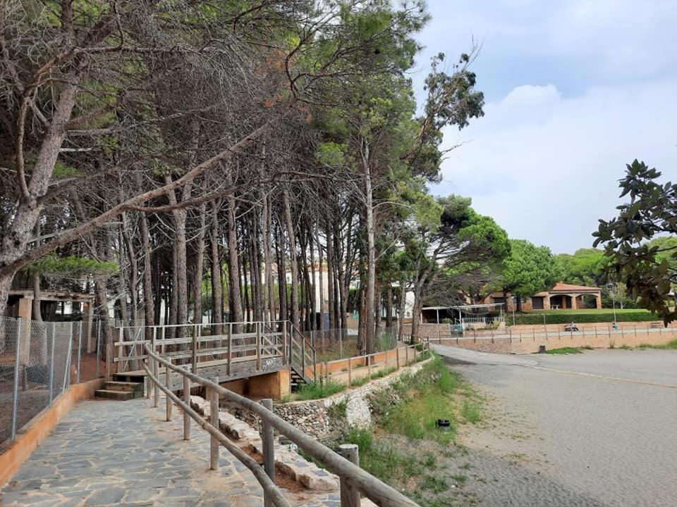 شقة L'Armonia Entre La Farella I Cau Del Llop يانكا المظهر الخارجي الصورة